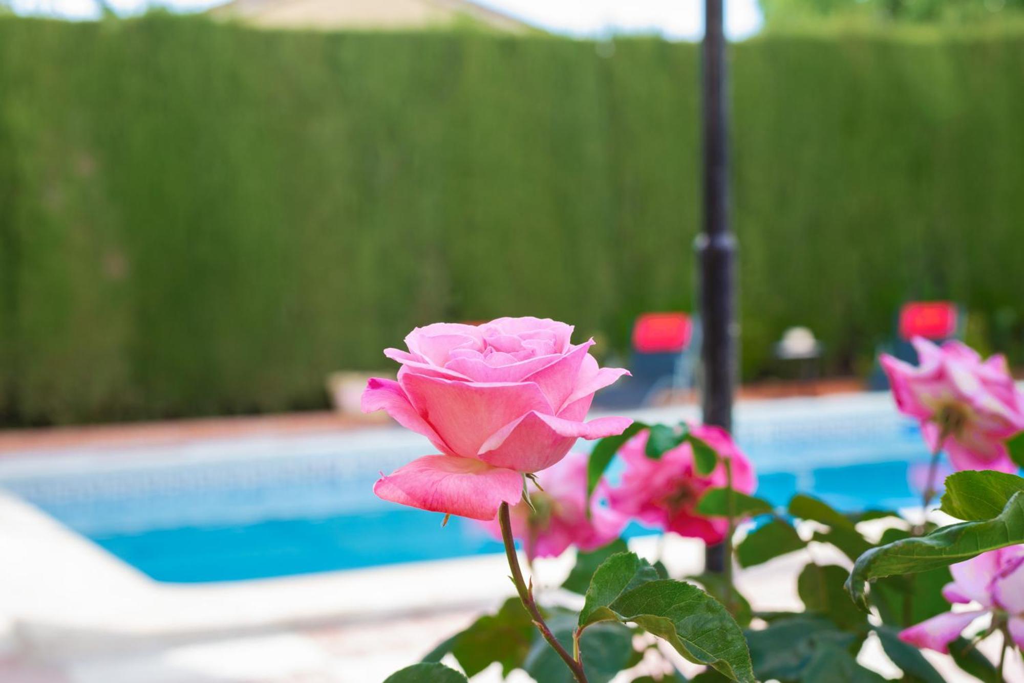 Villa Granada Garden Deluxe モナチル エクステリア 写真